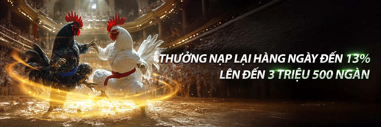 Sân đấu đá gà trực tiếp 55vin trang chủ chính thức